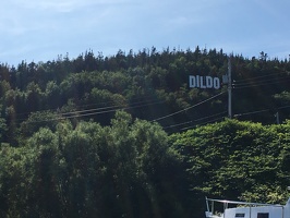 Welcome to Dildo